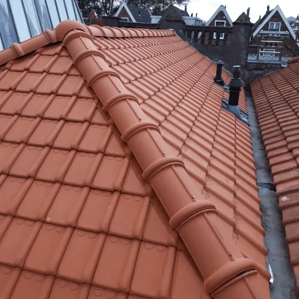 Spoedservice dakdekker en foto van pannendaken na onze service